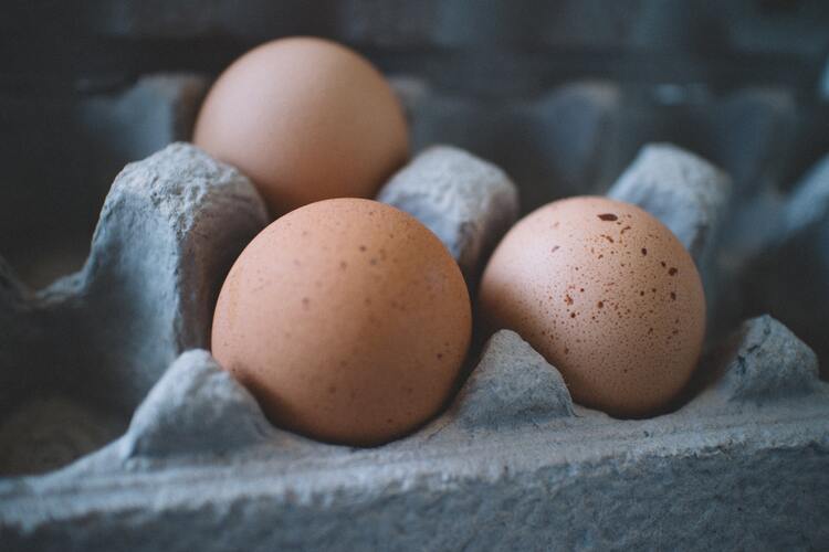 รู้จริงเรื่อง ไข่ และวิธีกินไข่ ให้ได้ประโยชน์
